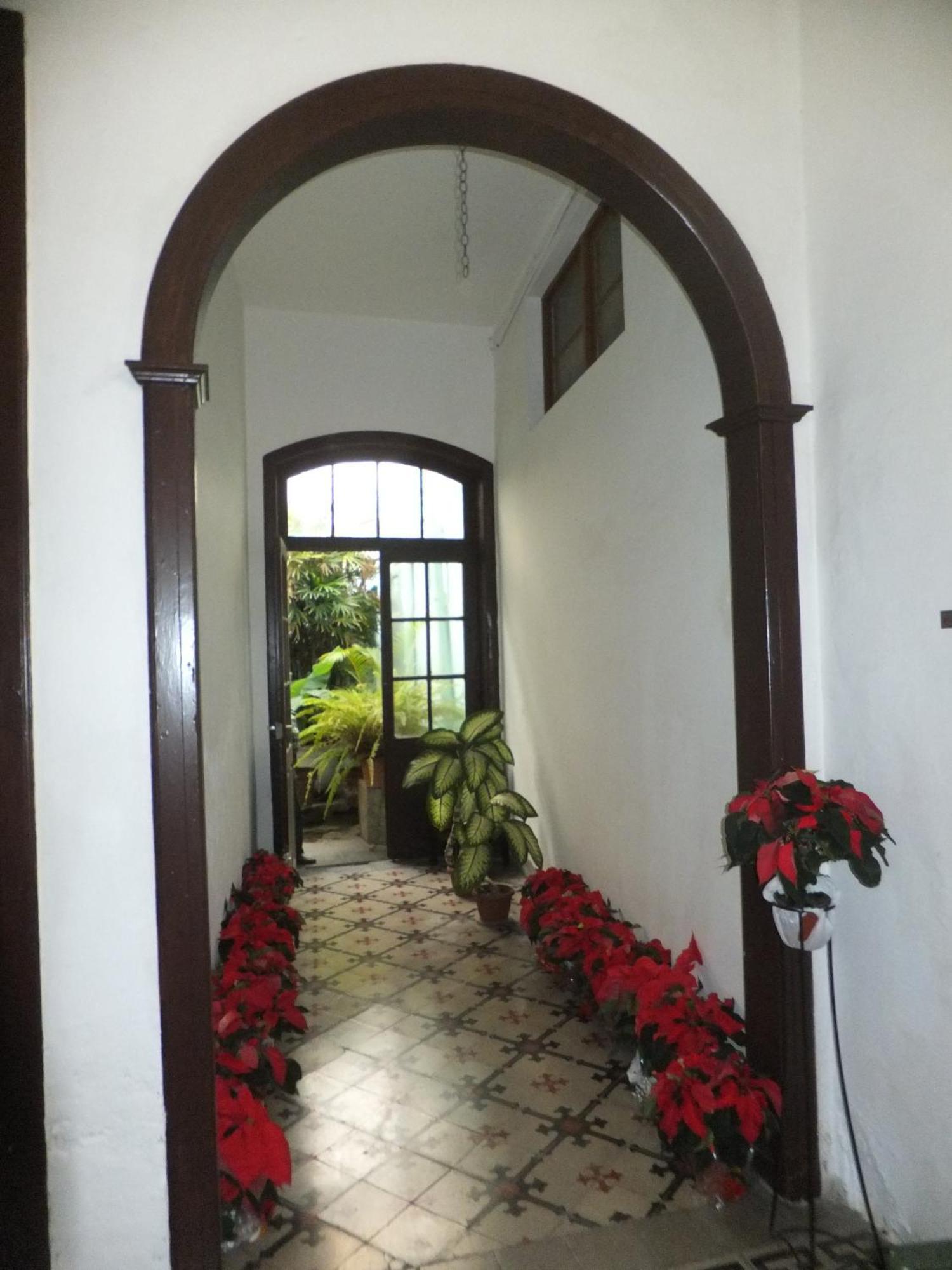 Casa Colonial Cejas Otel Santa Cruz de Tenerife Dış mekan fotoğraf