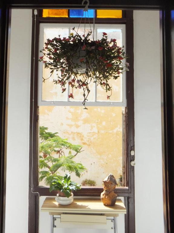 Casa Colonial Cejas Otel Santa Cruz de Tenerife Dış mekan fotoğraf