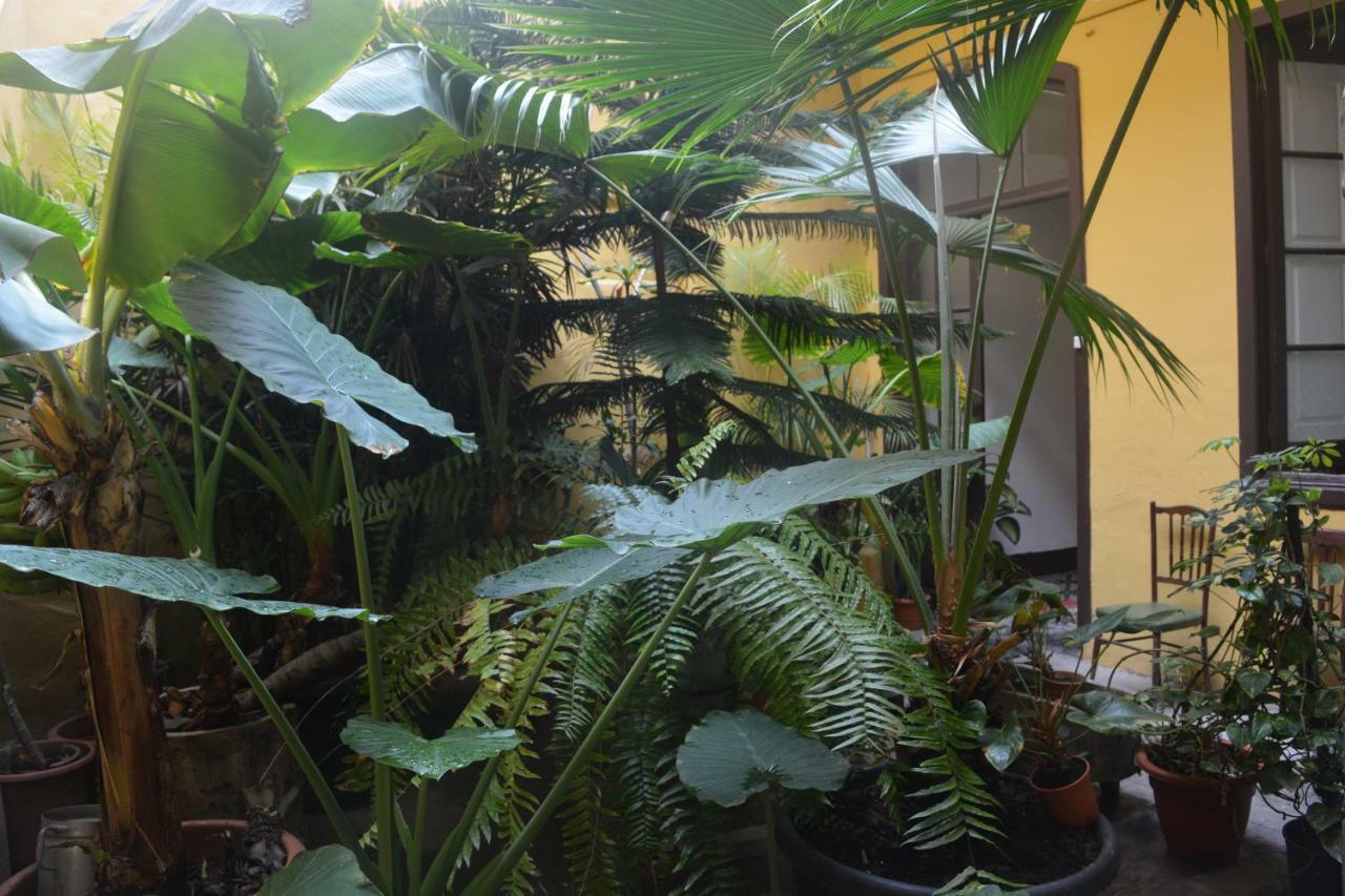 Casa Colonial Cejas Otel Santa Cruz de Tenerife Dış mekan fotoğraf