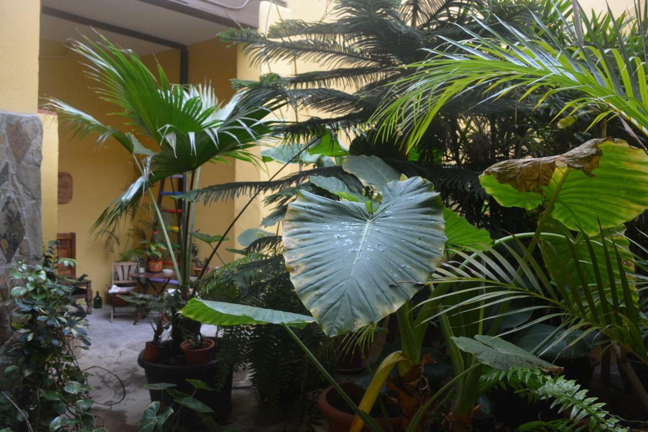 Casa Colonial Cejas Otel Santa Cruz de Tenerife Dış mekan fotoğraf